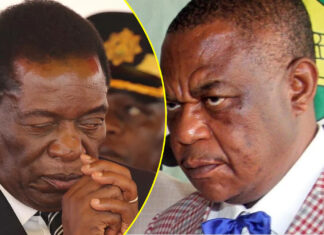 Minister leaks Zanu PF plot, says Constitutional Amendment Bill to extend Mnangagwa’s rule to 2030 now ready, to be Gazetted next week