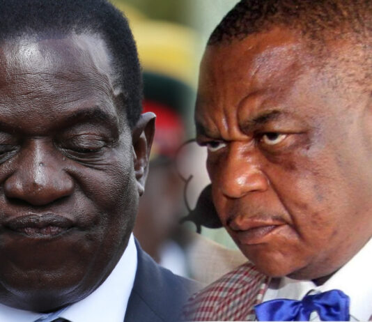 Pasi nezvigananda, says President Mnangagwa as War Vets publicly support General Chiwenga