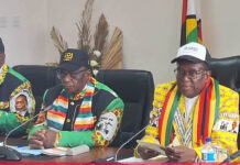 Deadly situation as President Mnangagwa now knows the politburo members who want him out of power