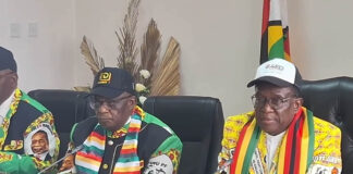 Why Cabinet approved Mnangagwa’s 2030 Vision: The Hidden Legal Clause Zanu PF is Using to Extend Presidential Power?