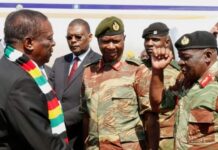 President Mnangagwa’s family now under military intelligence-style attack: “They want to strike fear in ED and sons”