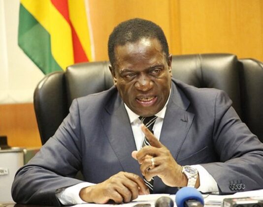 Zanu PF panics as ZiG collapses, President Mnangagwa told to immediately ban US$ and all foreign currencies