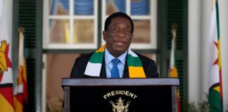 President Mnangagwa sacks Information Minister Jenfan Muswere after he attempted to mess up with ED’s niece