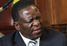 I came to see my father President Mnangagwa: Felix arrested for demanding to meet President Mnangagwa at State House