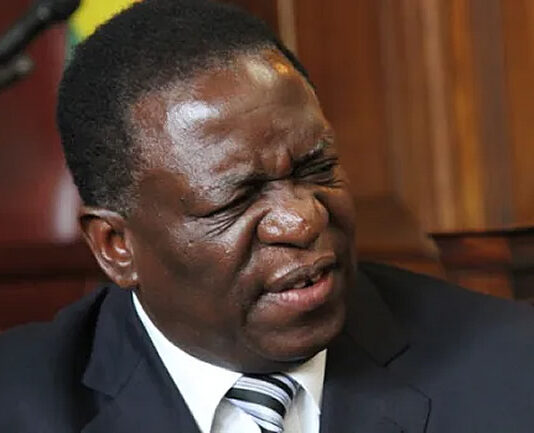 I came to see my father President Mnangagwa: Felix arrested for demanding to meet President Mnangagwa at State House