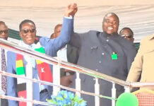 Potraz gives Zanu PF benefactor Wicknell Chivayo license to operate Starlink internet as $575,000 payment seals the deal