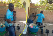 Video of Zanu PF Chairman brutally beating up his wife, pumping fists on her face over $5 for beer goes viral