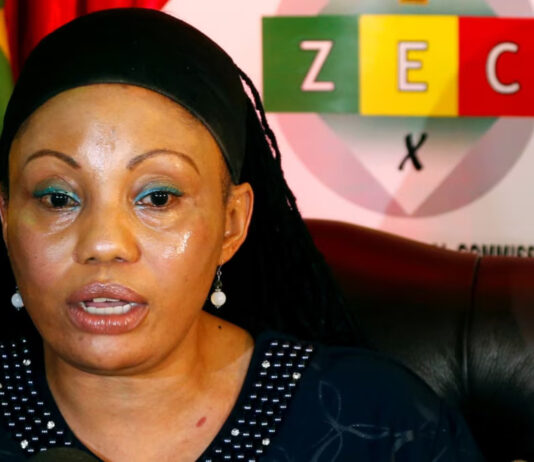 You were wrong in recalling CCC Member of Parliament: High Court tells Tshabangu and ZEC reinstates MP