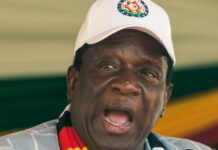 Playing with fire: Activist jailed for trying to stop President Mnangagwa from assuming SADC Chairmanship