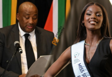 We can’t be represented by a Nigerian: Says SA’s Minister McKenzie as their Home Affairs reveals how to acquire SA citizenship