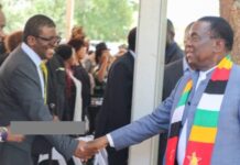 Sengezo Tshabangu’s plot to help President Mnangagwa rule until 2030 exposed: ‘Let’s suspend 2028 elections’
