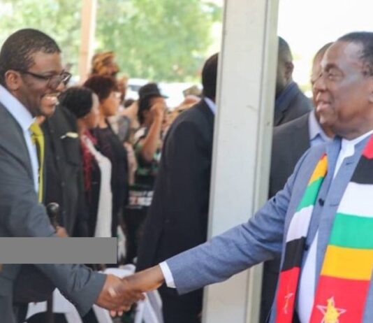 ACHIBATA KUTI DZVII: Sengezo Tshabangu drops bombshell… Every CCC leader except him ‘declared’ illegal office bearer