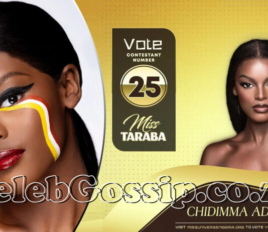 South Africa’s Home Affairs cancels Chidimma and her mother’s South African IDs and passports