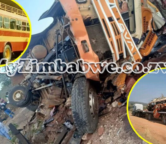 Police reveal names of 9 people who died in Masvingo bus accident: Survivors speak out, overloaded bus had 20 people on carrier