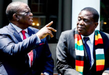 We won’t let you rule until 2030 and Zimbabweans are going to embarrass you: Team President Mnangagwa told