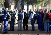 From Nursing to Finance: These are the most in-demand jobs in South Africa and companies are hiring