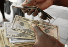 Harare illegal money changer slapped with 12 months imprisonment as government declares war on ZiG ‘fixers’