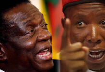 Malema tells Zimbos what to do next as Minister Ziyambi says law can be amended for President Mnangagwa’s 3rd term