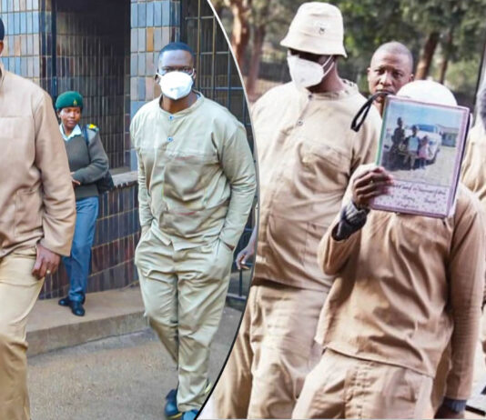 You are part and parcel of Moses Mpofu’s deals: Court nails ‘clever’ Mike Chimombe over US$9 million scandal