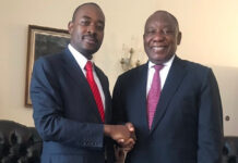 Zimbabweans in SA shouldn’t come back, we’re living in hell and Zanu rigs elections: Chamisa tells South Africa
