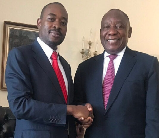 Zimbabweans in SA shouldn’t come back, we’re living in hell and Zanu rigs elections: Chamisa tells South Africa