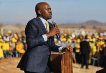 Opposition activist slapped with 3 years in prison after organising a Nelson Chamisa rally