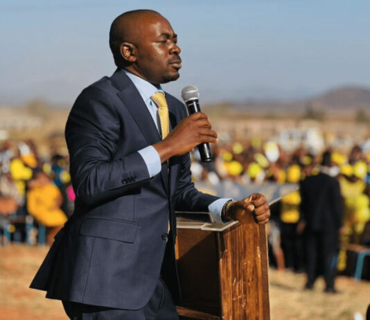 Opposition activist slapped with 3 years in prison after organising a Nelson Chamisa rally