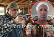 South African farmer shoots and kills Zim woman collecting dumped expired food then feeds her body to his pigs