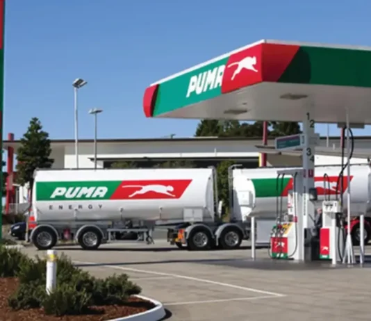 Energy Minister Edgar Moyo bans unleaded petrol in Zimbabwe