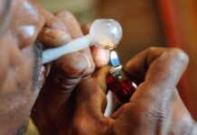Charumbira arrested for importing lots of mutoriro worth US$500,000