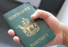 South Africa’s Home Affairs Minister announces new directive that has raised hopes for Zimbabweans’ brighter future