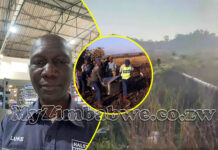 Marondera Halsteds employee murdered on his way home, body found lying along the road with multiple wounds