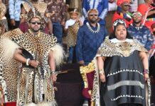 Zulu King Misuzulu KaZwelithini divorces wife after secretly marrying another one behind the queen’s back, infidelity rips royal marriage apart