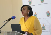 ICT minister introduces US$5000 fines for poor network from Econet, Liquid, TelOne and other ISPs as Starlink launches