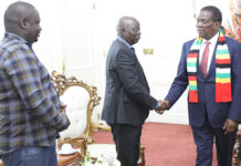 Inside the secret meeting between President Mnangagwa and cash-strapped Dzikamai Mavhaire that has shaken Zanu PF