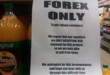 Zimbabwe’s ZiG (ZWG) currency loses value again: Prices skyrocket as shops now demand US Dollars only!