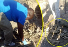 Sh0cking discovery at residential area: 4 human skulls (3 still have hair), 13 arm bones and baby wool hat (VIDEO)