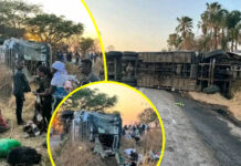 Multiple people feared dead in Bolt Cutter bus and haulage truck head-on accident near Karoi (SEE PICS)