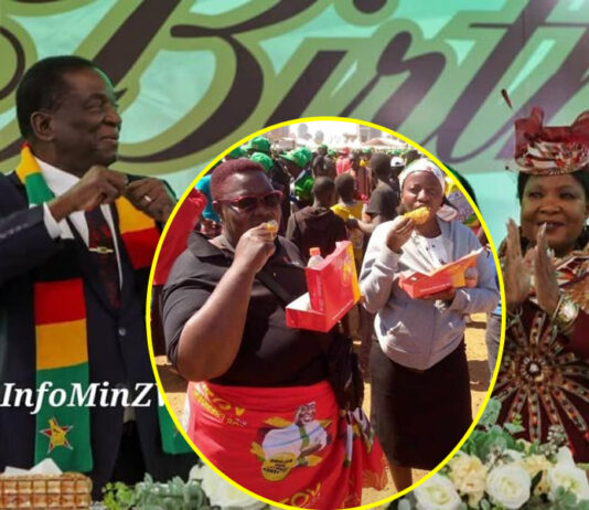 Lavish 82nd birthday bash for President Mnangagwa: US$2 million to be spent and half a million to buy chicken inn