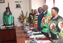 President Mnangagwa’s Nephew and Former CIO Agent Expelled from ZANU-PF Over ‘2030’ Agenda