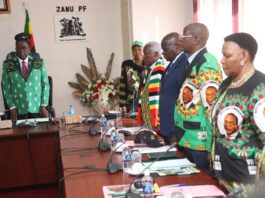President Mnangagwa’s Nephew and Former CIO Agent Expelled from ZANU-PF Over ‘2030’ Agenda