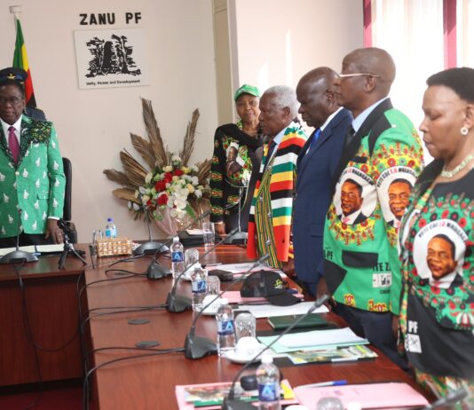 President Mnangagwa’s Nephew and Former CIO Agent Expelled from ZANU-PF Over ‘2030’ Agenda