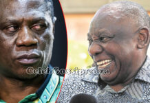 ANC infighting turns bloody as Deputy President Mashatile survives ANOTHER assassination attempt, his car has been hit with 12 gun bullets