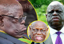 Politburo Member colonel Tshinga Dube (Rtd) who told Mugabe to name successor, dies 4 weeks after opposing Mnangagwa’s third term