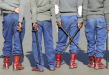 PANOROHWA MUNHU: Police boss says Fawcett Security employees helped 5 armed robbers in Millions of cash heist, vows to….