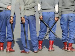 Border Mafia Exposed: How Three ZRP Officers Turned The Mozambique Crossing Into A Personal ATM