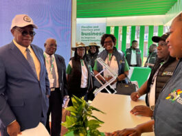 ZIMRA’s Secret Hit List: The Big Companies Facing Total Collapse as The Tax Collector Demands Billions
