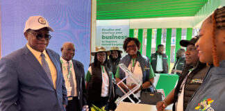 ZIMRA’s Secret Hit List: The Big Companies Facing Total Collapse as The Tax Collector Demands Billions