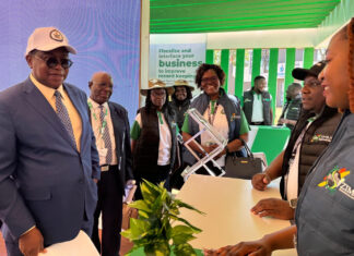ZIMRA’s Secret Hit List: The Big Companies Facing Total Collapse as The Tax Collector Demands Billions