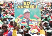 ED ngaatonge kusvika afa: Zanu PF now wants Mnangagwa to be declared life president
